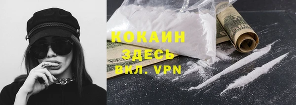 тгк Абаза
