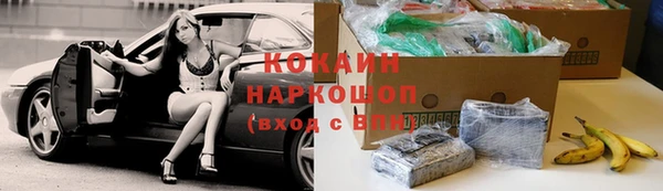 тгк Абаза
