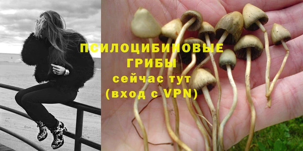 индика Алзамай